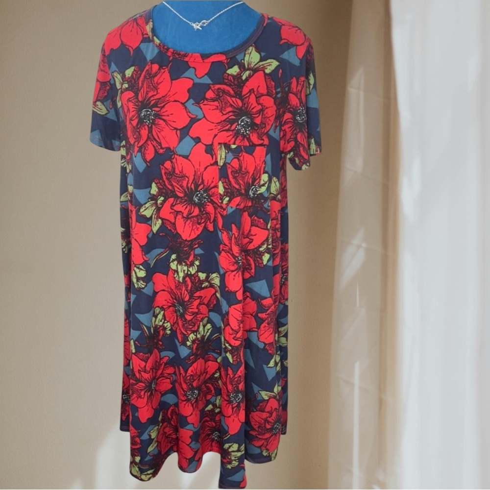 LuLaRoe Carly Dress